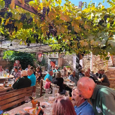 Rodinne Vinarstvi Mikulenkovi *