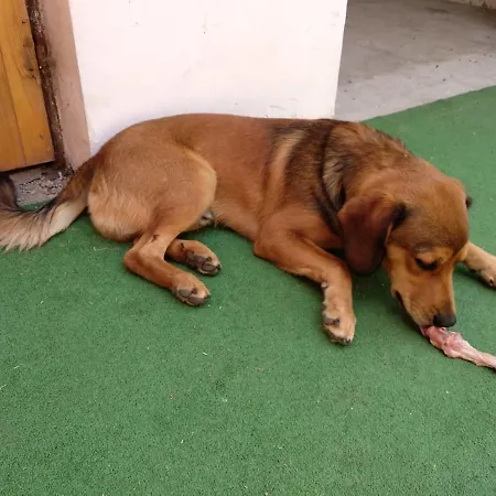 Rodinne Vinarstvi Mikulenkovi Landhuis